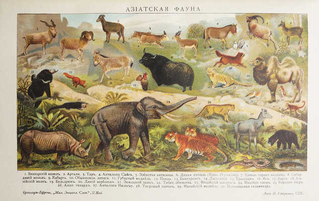 Малый энциклопедический словарь. [В 2 т., 4 вып.]. Т. 1-2, вып. 1-4. СПб., 1907-1909.